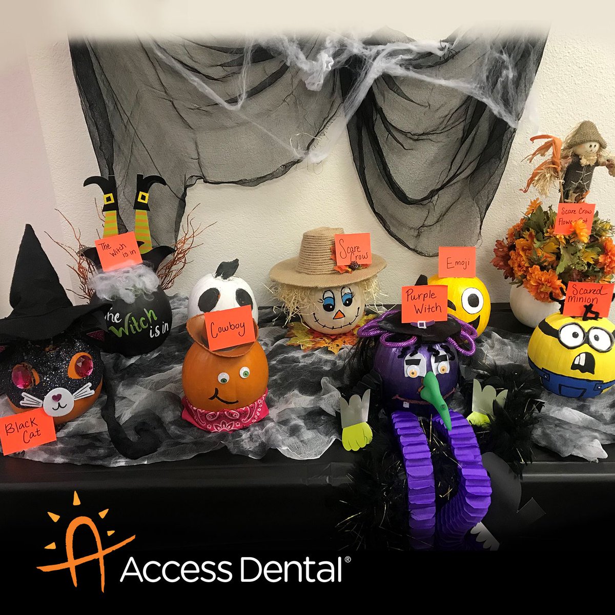 AccessDentalC's tweet photo. Our Access Dental in Modesto is having a pumpkin contest!
Which is your favorite? Comment below to vote!
#AccessDentalSmiles #Fall #Pumpkins https://t.co/bOfyfcoEu5