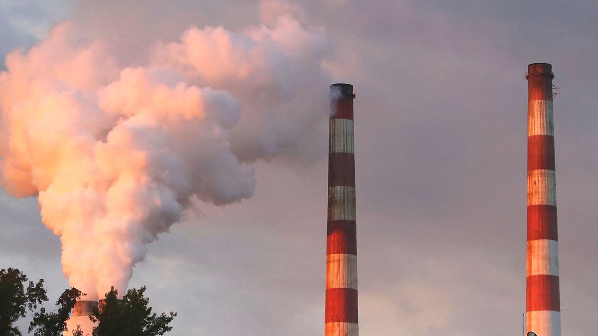 Baltimore Sun Green tweet media