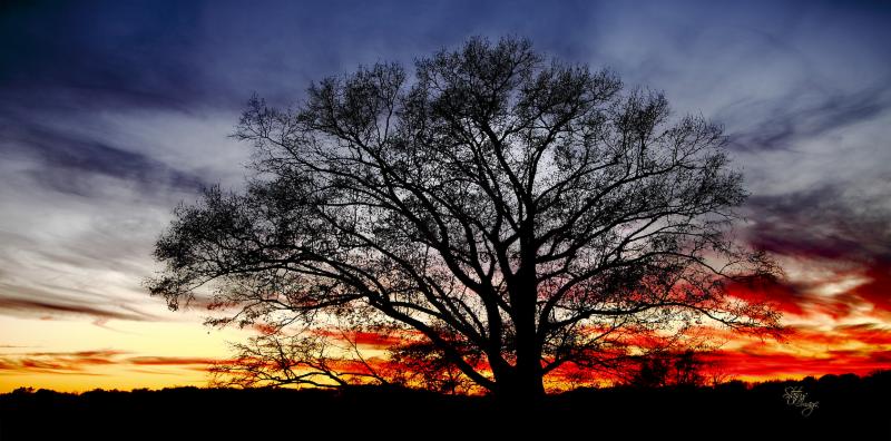StatusImageFoto's tweet photo. How to photograph sunsets with max color https://t.co/sdPdrzpdZ6 https://t.co/tVx5sB87lZ