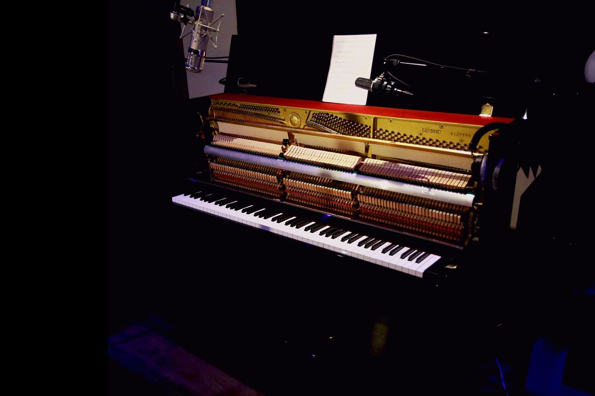 Vous aussi venez enregistrer vos lignes de piano dans un studio pro!
Notre selection micro risque de vous plaire ;)
sodasound.fr/booth