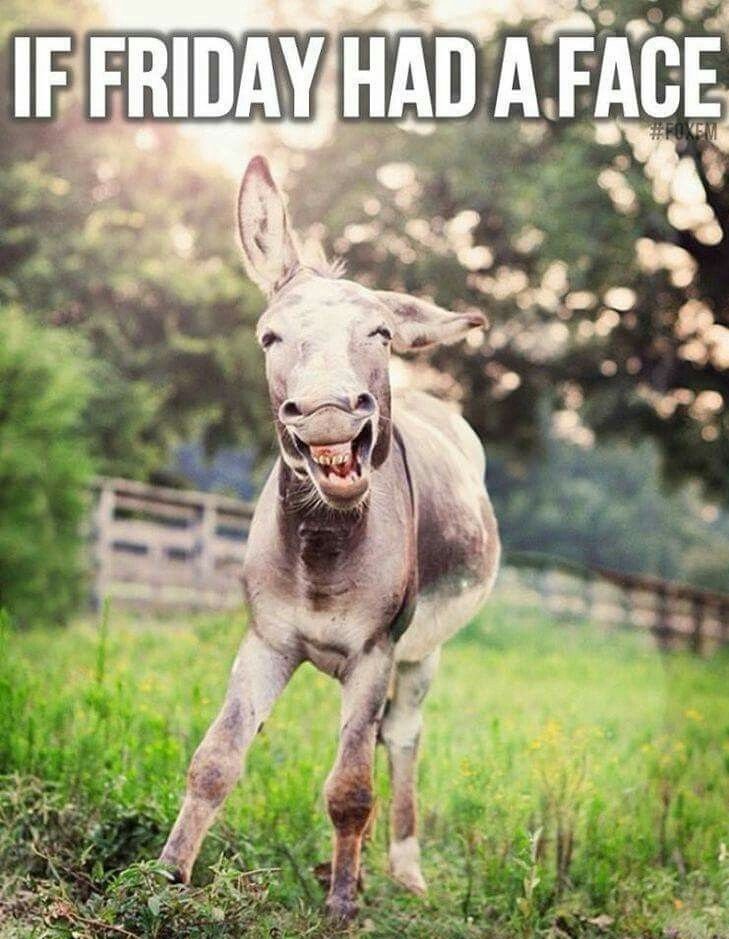 Kent_Systems's tweet photo. #friyay! https://t.co/OmcvhCHoZi