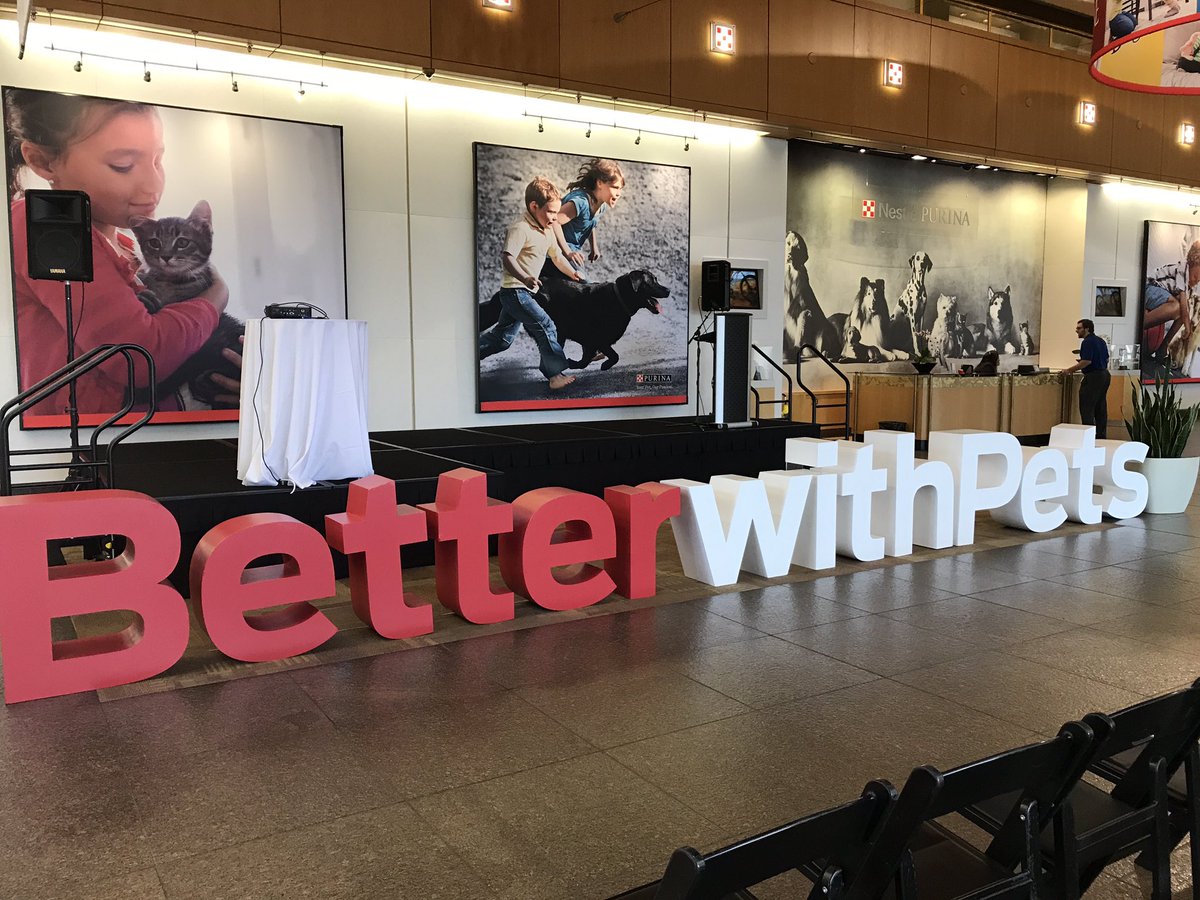 MattMenietti's tweet photo. All set up and ready for the Better with Pets hackathon hosted by @Purina! #bwphackstl https://t.co/jlFiQlgWOo
