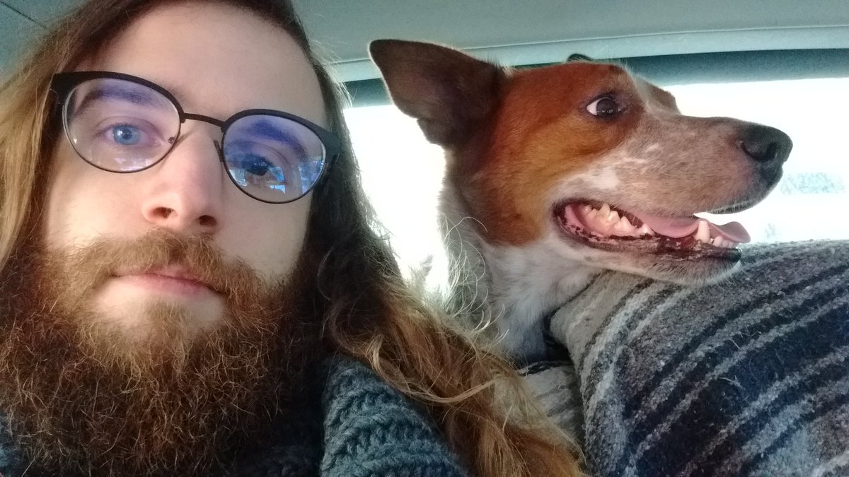 NOT HAVING A NICE TIME AT ALL #VIIF2017