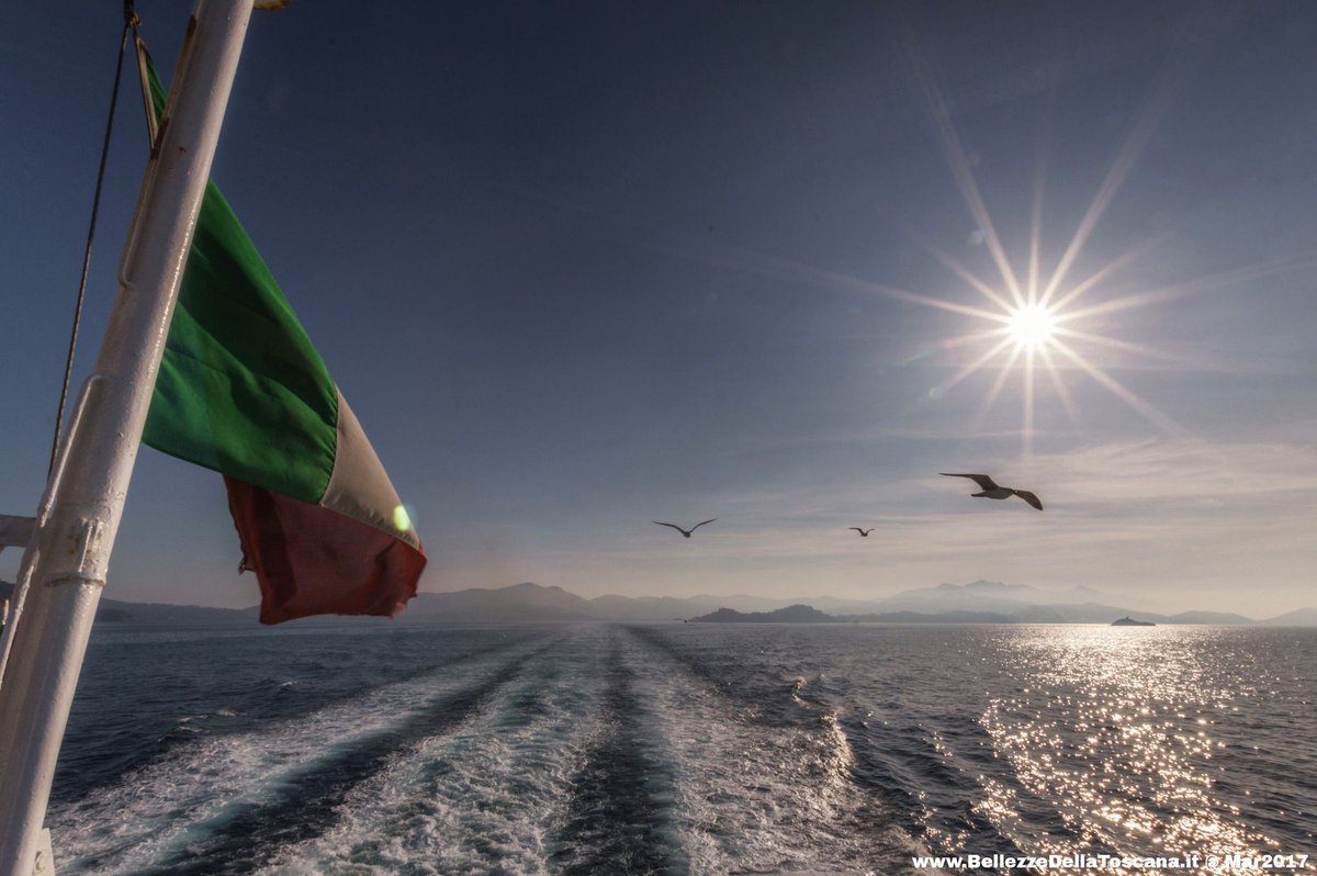 Back to #IsolaDElba

#CanaleDiPiombino #ElbaIsland #arcipelagotoscano #mare #sea #isola #island #Toscana #gabbiani #seagulls #sole #sun