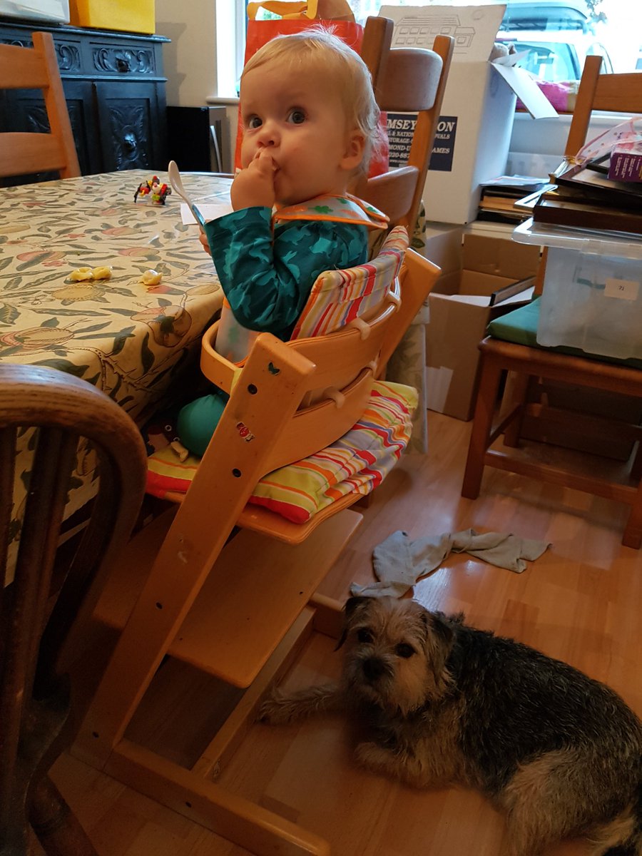 MontyBTAgility's tweet photo. Have assumed the position for tea time. #cleanupsquad #yourewelcome https://t.co/noWuQgkVQt
