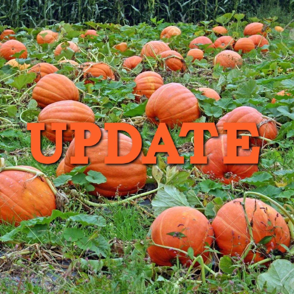 JMUNSMH's tweet photo. Pumpkin Picking has been moved to Hess Corn Maze 🌽 the admission price will be $8. The new address is 2915 Willow Run Rd 🍁#nsmhprstar https://t.co/C0tzypCNJ8