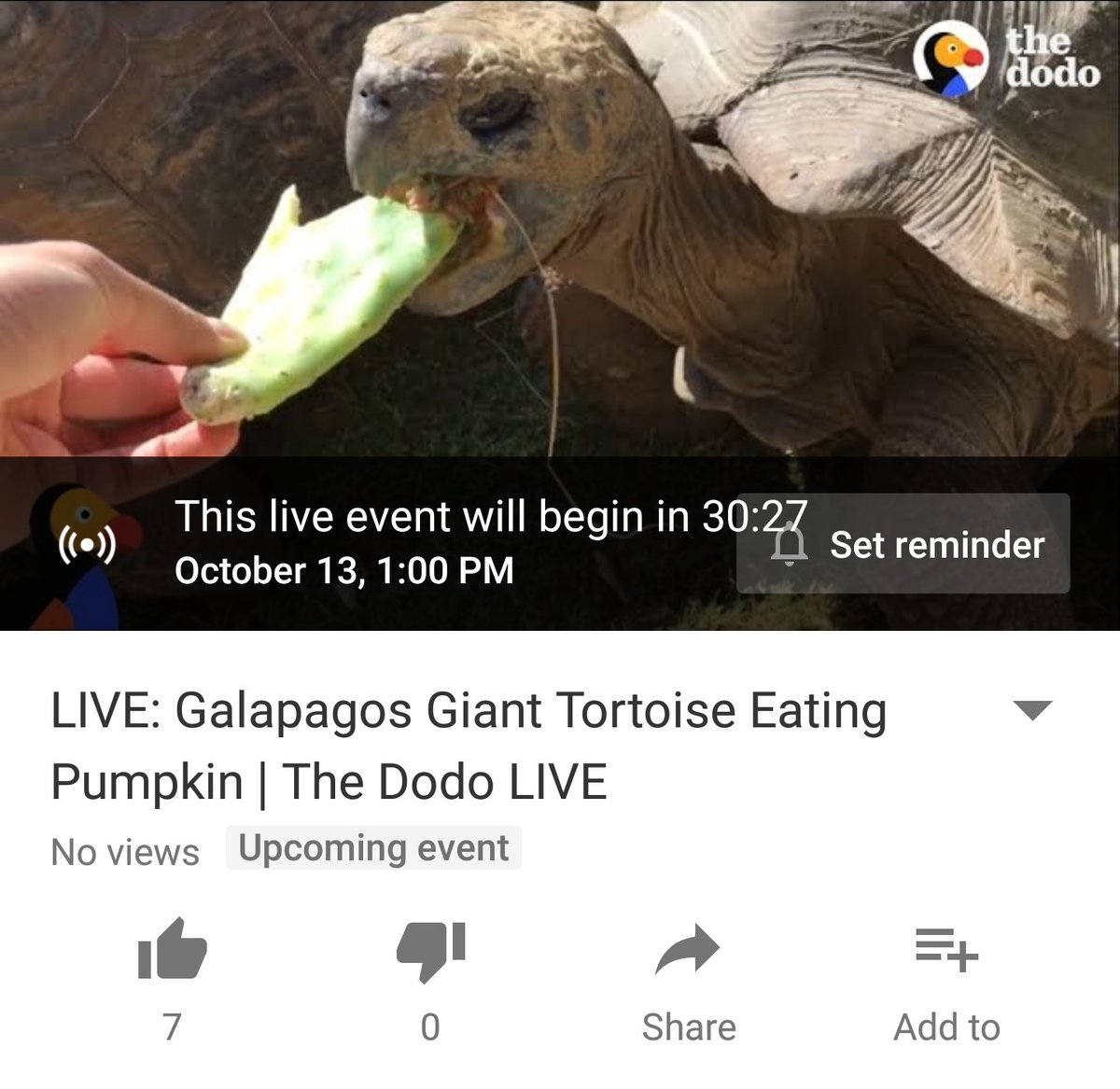 #holdmycalls🍴🐢