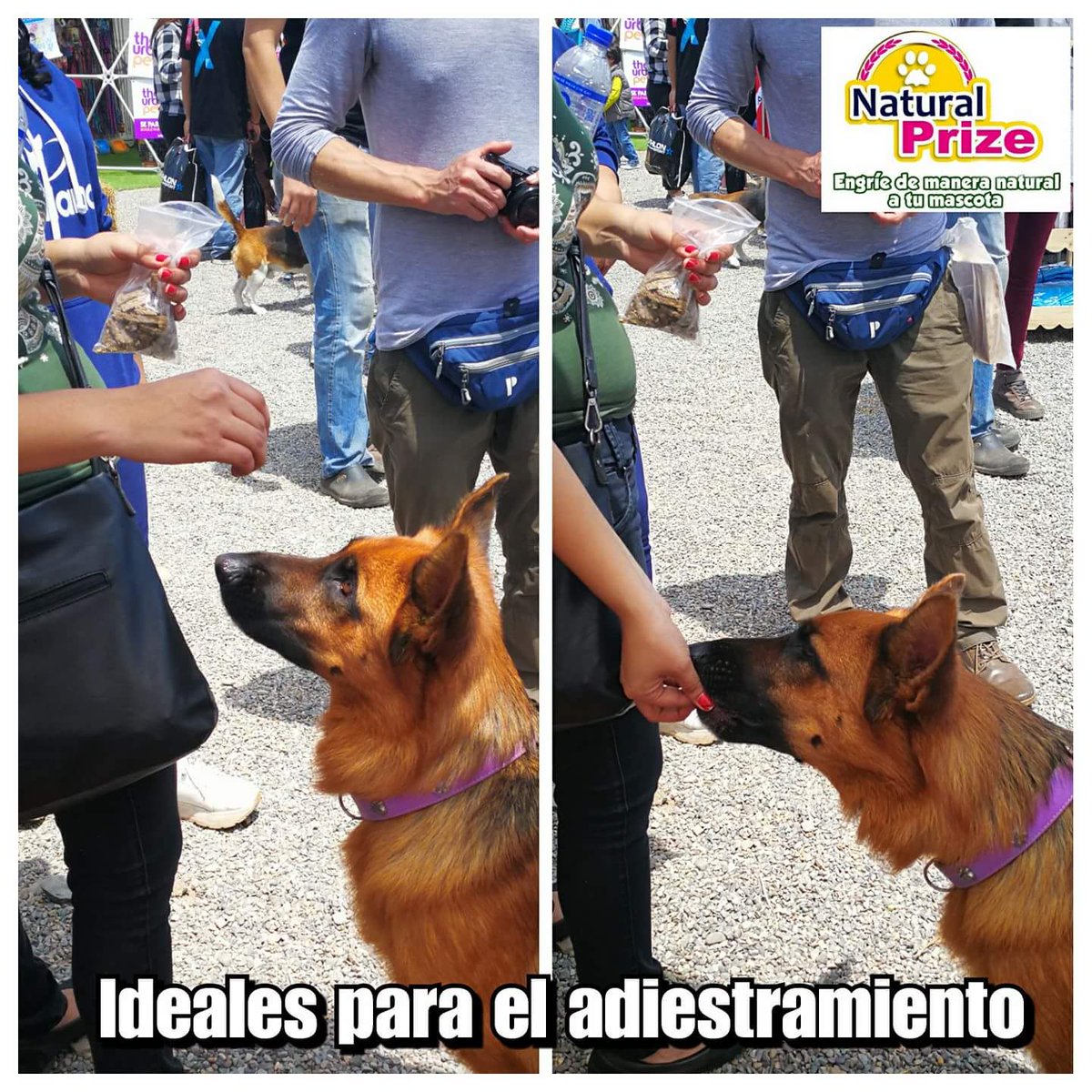 Natural_Prize's tweet photo. @Natural_Prize π #SnacksPremium 100% naturales π ideales para #adiestramiento y #engreimiento de nuestras mascotas #OrgullososDeSerPeruanos https://t.co/nzSLQdYRu1