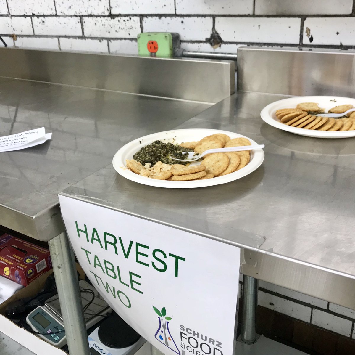 FoodMinds's tweet photo. Thanks to @schurzfoodlab and @ChicagoIFT for the opp to connect food scientists with high school students. Pictured: Fresh basil pesto https://t.co/rsnUm13I3l