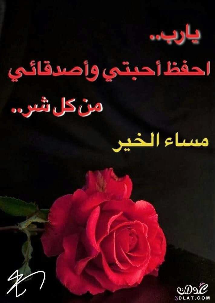 مساء الورد