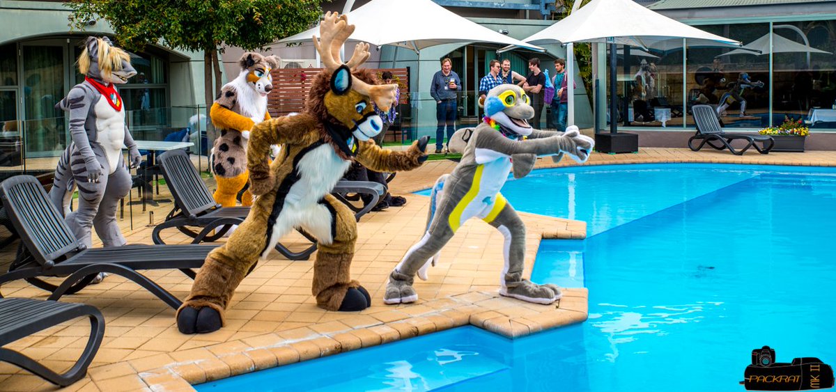 Inflatophin's tweet photo. Last one in's a filthy human! :3 #FursuitFriday (from #WAFF2017) also featuring @ToruTheBuck :D https://t.co/pUbvFhlS3t