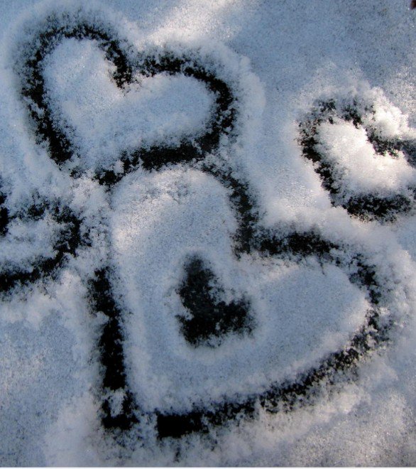 SurViVal2d tweet picture