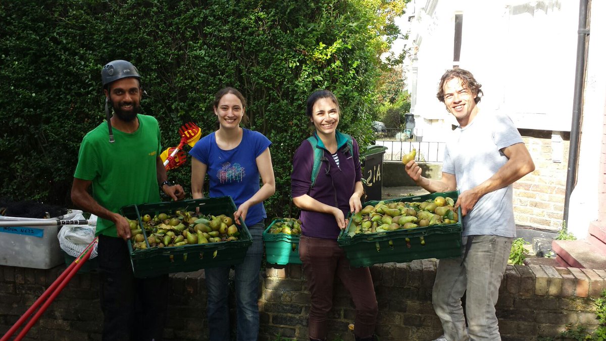 GleaningLDN's tweet photo. Find surplus fruit for charity! We need #volunteers to knock on doors in #n16 anytime to find tree owners. Contact james@feedbackglobal.org https://t.co/DFpdkJqACz