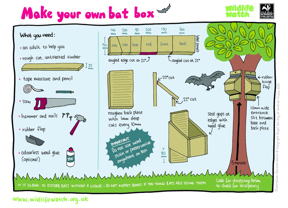 WildlifeTrusts's tweet photo. Weekend Challenge!  Make your own bat box ready for their winter hibernation. https://t.co/Z8vwobFIrO