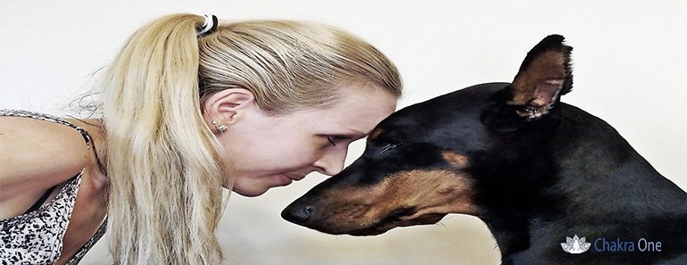 ChakraOneReiki's tweet photo. Reiki it is a method that works WITH and SUPPORTS Veterinary care.
https://t.co/ZnMIGeOGqV https://t.co/vQOdkGR9aR