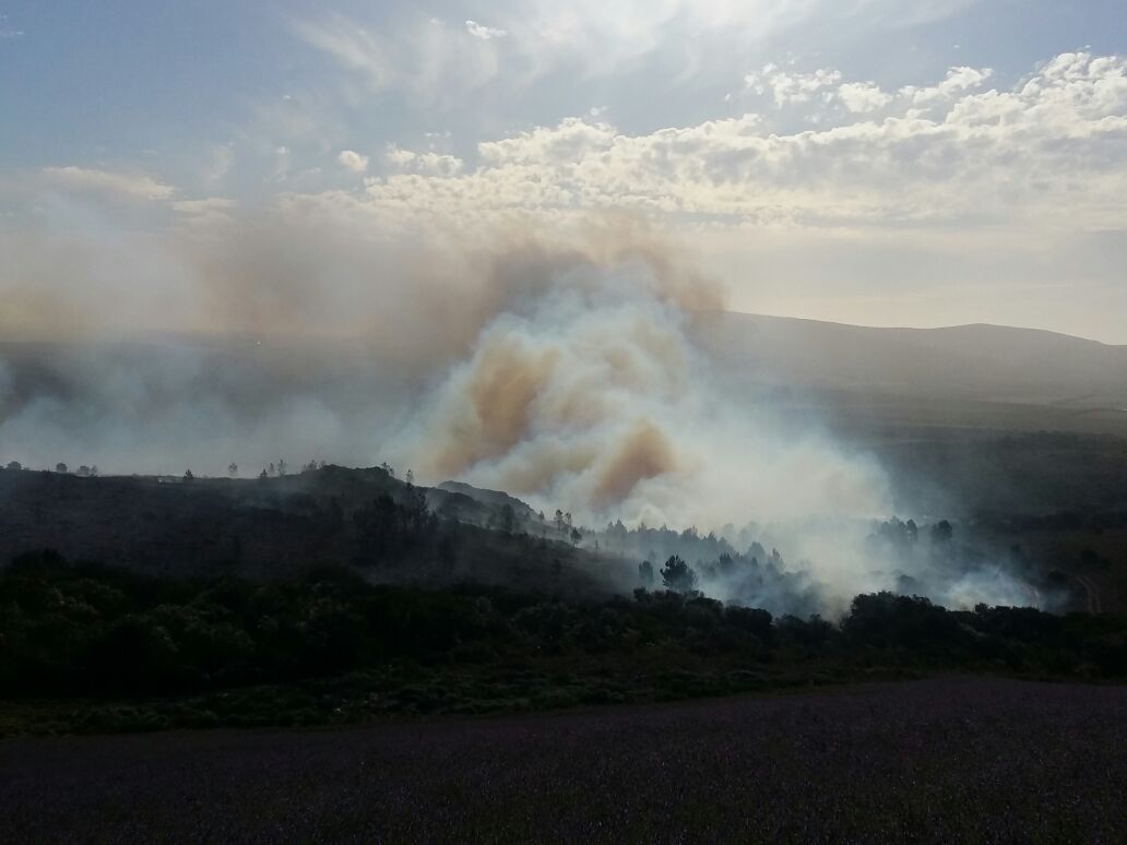 OverbergFPA's tweet photo. #BaardskeerdersbosFire 13/10/17 Head 1 flank contained still burning in mountain area #Hectic, good #landuser, @OverstrandMuni & @DismanOdm https://t.co/84JP80OV5x