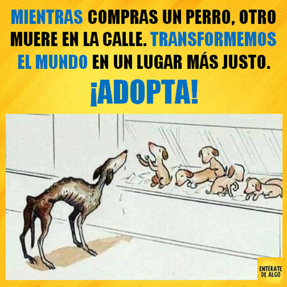 NuevaVidaAdop's tweet photo. https://t.co/NF8Phd1pyM