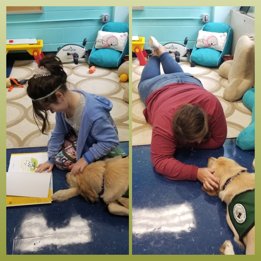 KristenPollara's tweet photo. Therapy Dogs....changing the lives of not only the students, but the staff, as well. @Ironia_Elem #patrickbringspeace https://t.co/Lfss4c6YMA