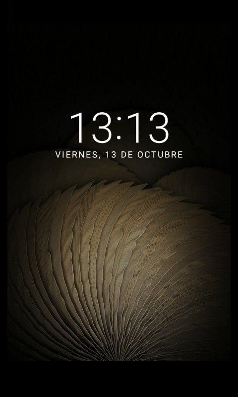 danielbarrioses's tweet photo. @BellaBestiason ¿Y cuándo caiga el último pétalo? ¿Seré una Bestia eternamente? L👼quiero, por consi 🌹uiente, L😈amo...https://t.co/vXpJENkCm1 https://t.co/hTX1Q45CIF