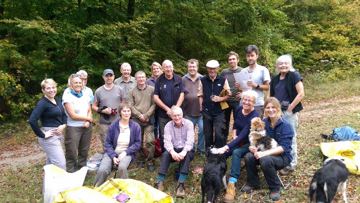 BillDowney8's tweet photo. Before and after photos of chalk pit at Polesden Lacey. Great work by @BC_Surrey Small Blue vols today - new habitat for SB and Grizzled. https://t.co/PdtX28wacQ