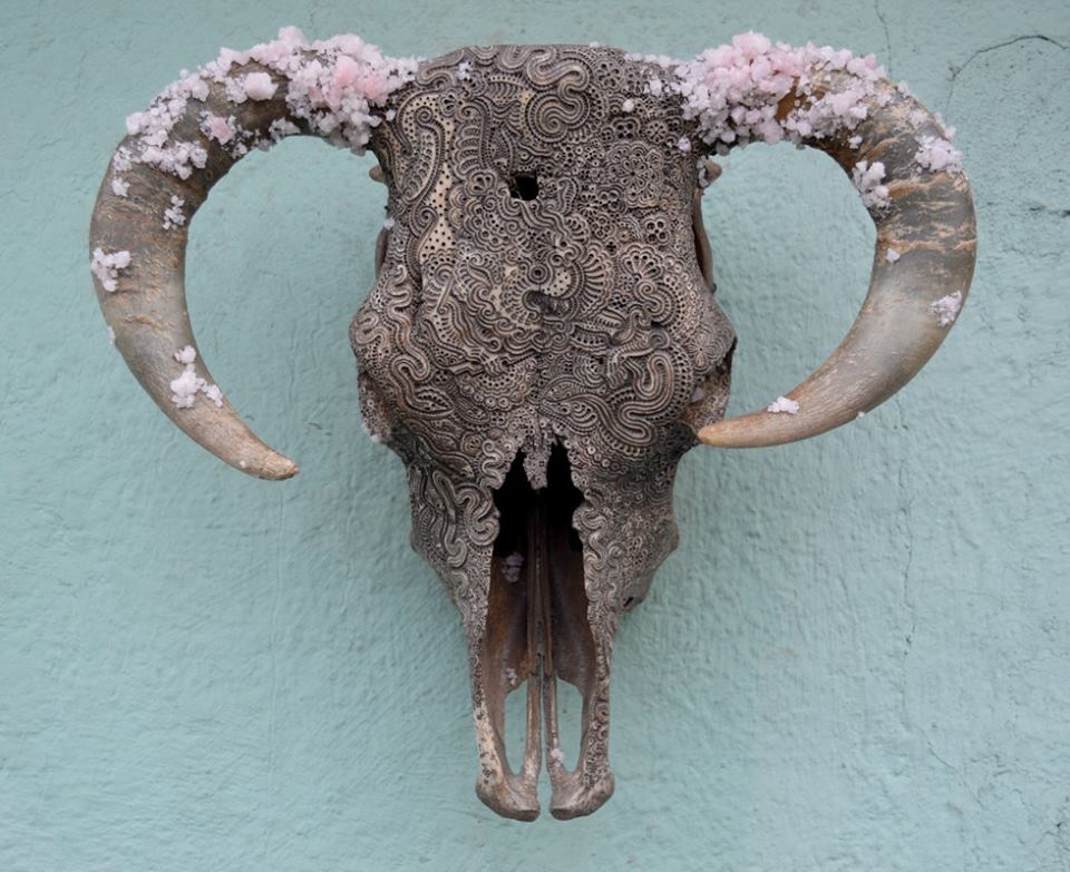 _Haus_of_Hell_'s tweet photo. Growth by #JasonBorders...#ArtoftheDay: #art π¨ #Hell* π #HausOfHell* πΉ #blog π» #blogger π€ #blogspot π₯οΈ...* https://t.co/Qh5aKDqLcL