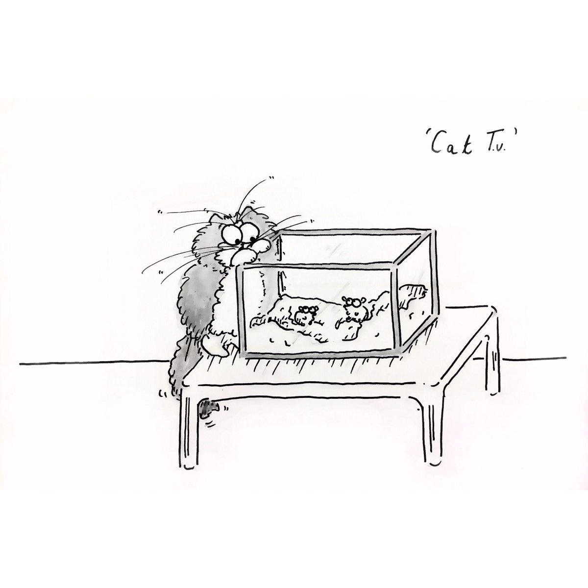 JadeStowe's tweet photo. Here he is, Miko in 'Cat TV' #cartoonist #catcartoon #YoungCartoonistsCompetition https://t.co/TT8mKHjjCk