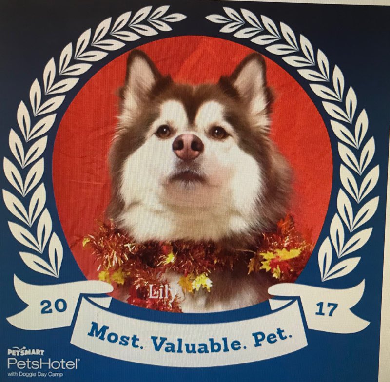 Someone was feeling photogenic at the party today! 📸👍🐾 #petsmartevents