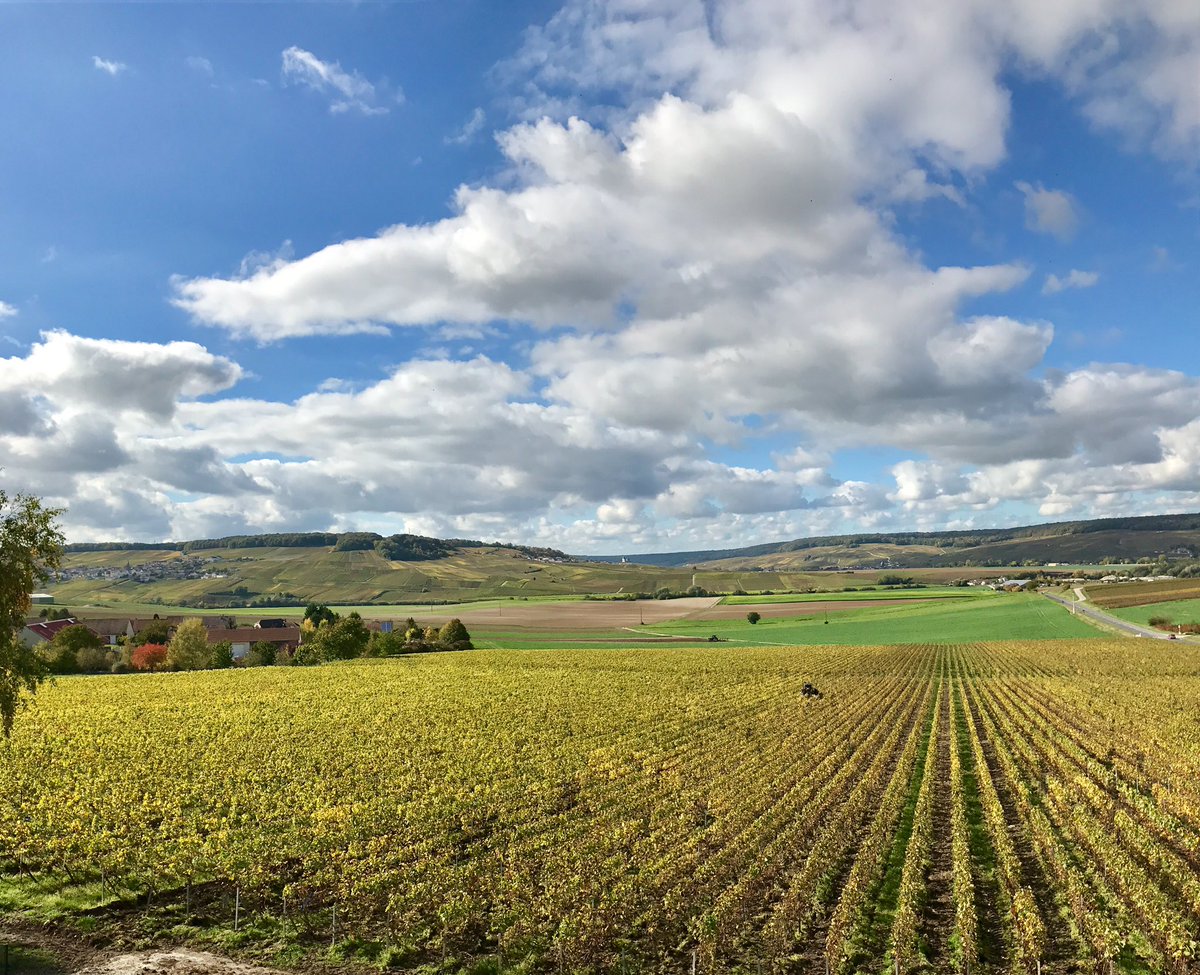 PGimonnetFils's tweet photo. Panorama from the office this afternoon.
So beautiful. #autumn #vineyards #champagne https://t.co/ynGQCRU44G