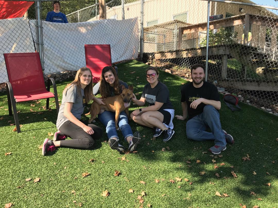 msdsci8's tweet photo. Wrapped up #MCMSservice @kcpetproject with some quality doggie time. #AdoptDontShop #thisonecangohomewithyou #precious #usd232connect https://t.co/NQzE71aoT7