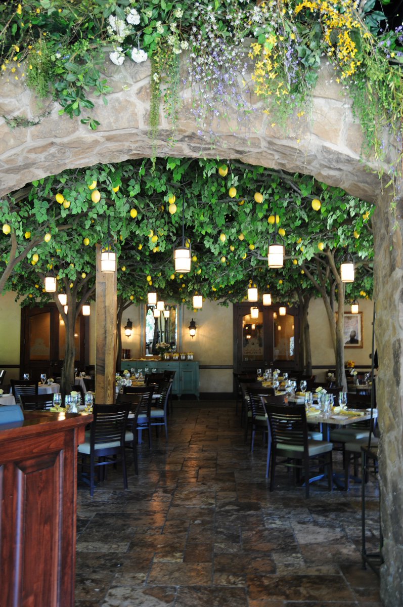 Who loves our lemon trees as much as we do? We’d love to hear from you! Comment your experiences below!