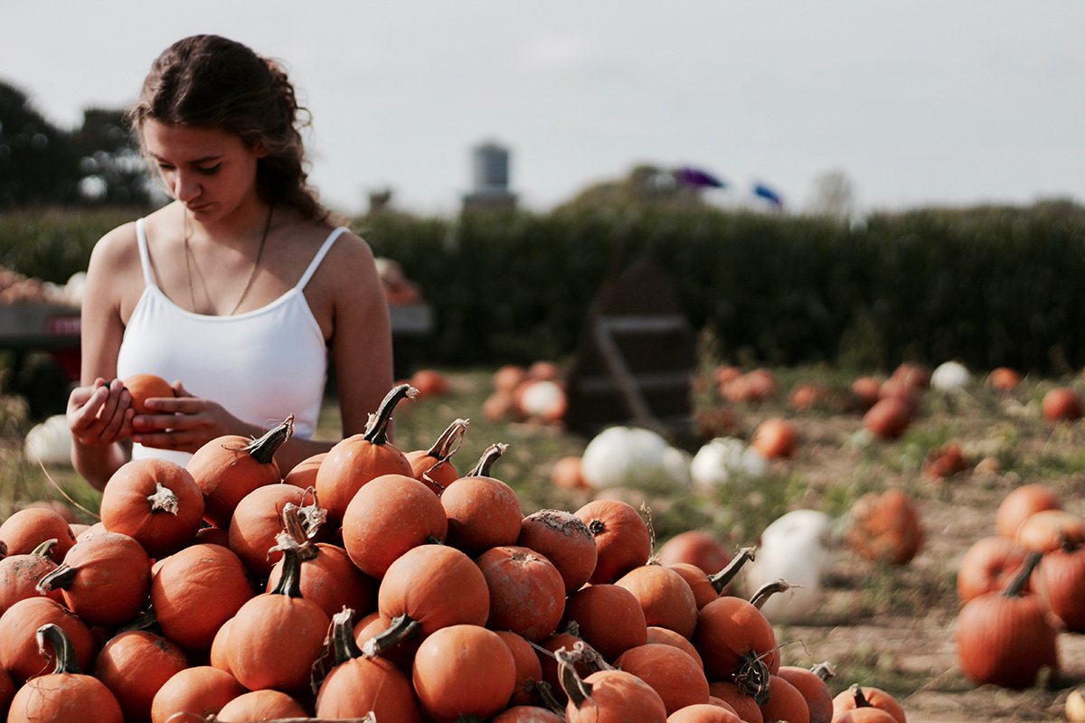 blumsilife's tweet photo. Perfect weekend for pumpkin picking. How are you adding #Halloween flair to your home? #MoodMindBody #Pumpkins #FriYay https://t.co/q70pfcr7us