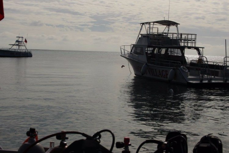 GDCDive's tweet image. It’s Friday the 13th, but we’re feeling pretty lucky to constantly do what we love.