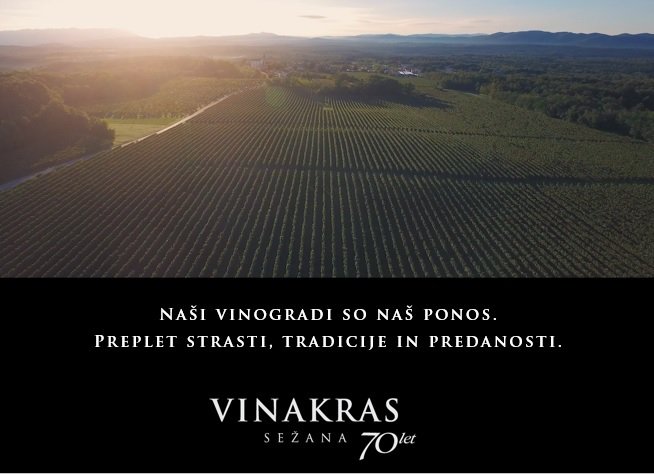 Vinakras's tweet photo. Naši vinogradi so naš navdih in veselje. Del tradicije in spoštovanja. Odsev naše predanosti naravi. #Vinakras #Kras #vinogradi https://t.co/mcIosRPSMY