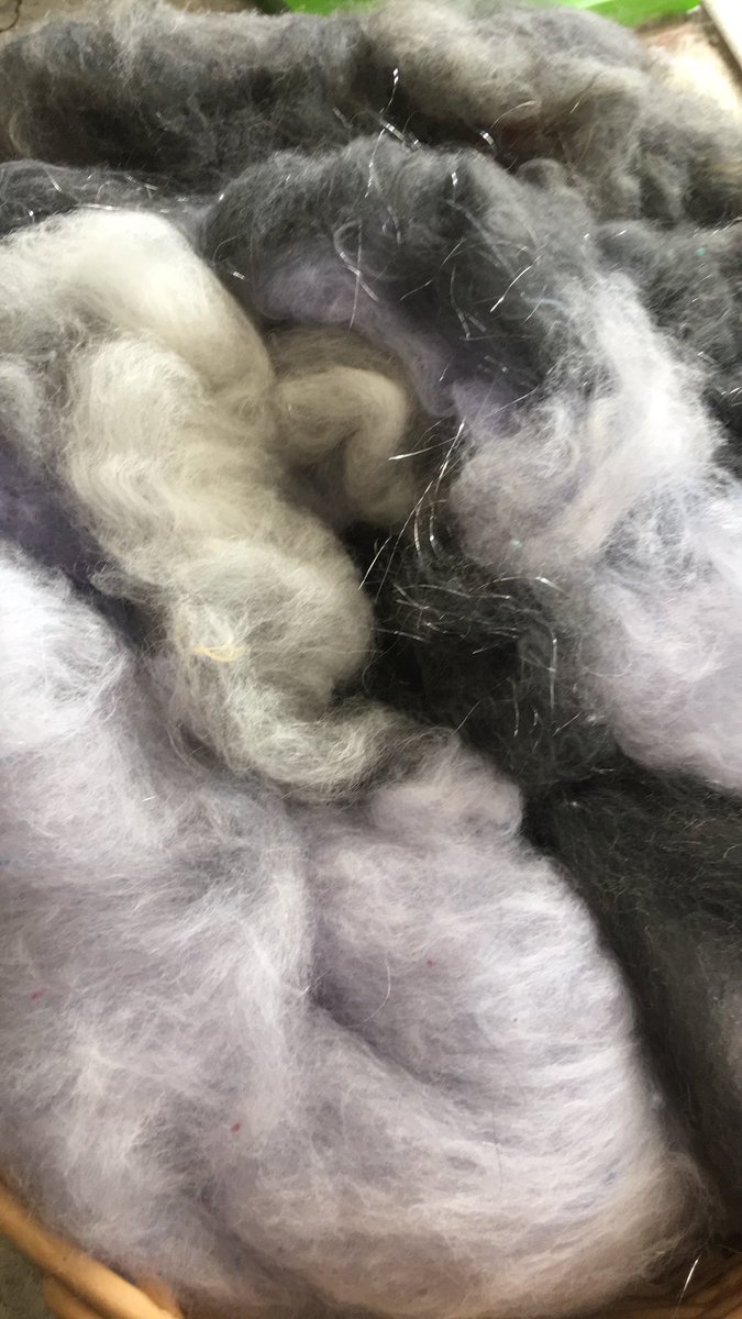 michellespins's tweet image. Storm cloud batts ready for spinning.