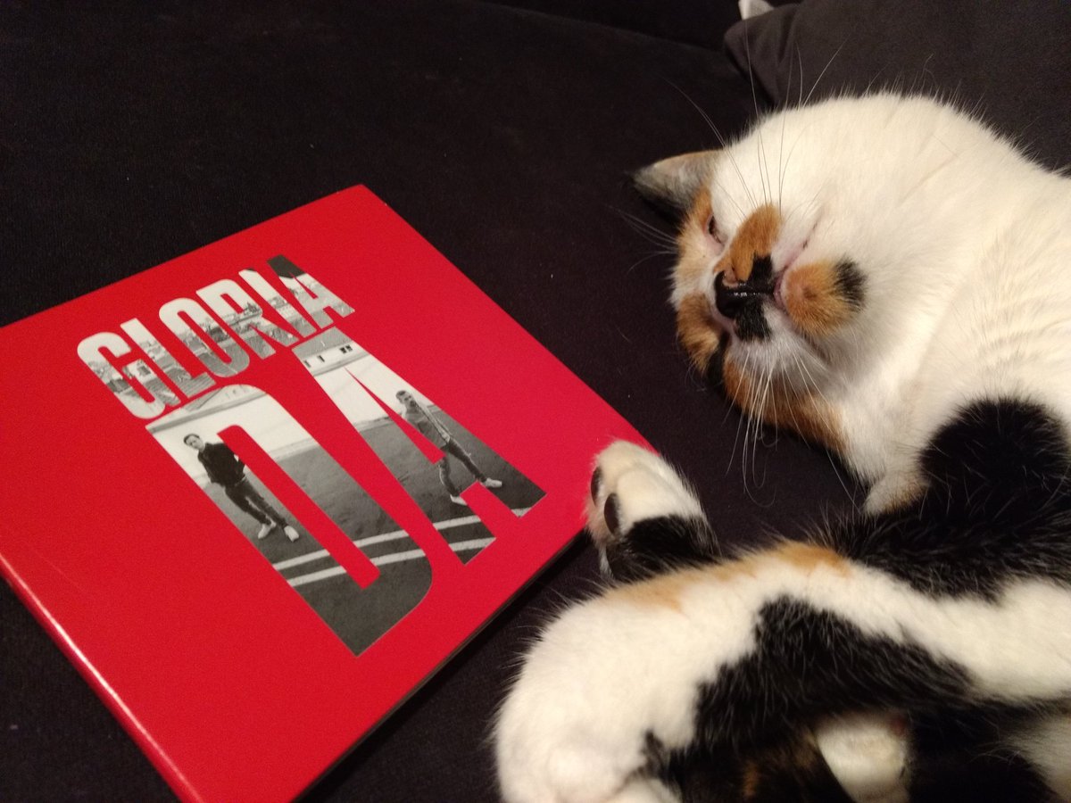 rainbow_hase's tweet image. Meiner Katze gefällt euer neues Album übrigens auch #endlichDA