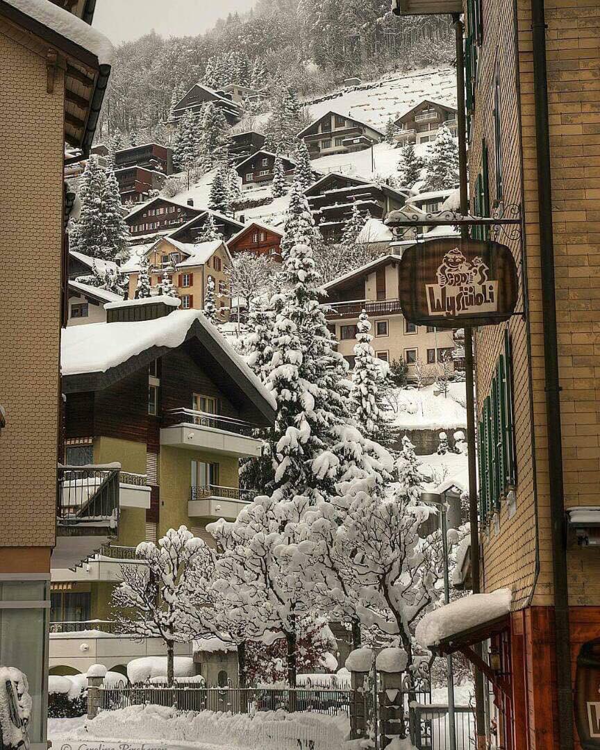Samurai_Wifi's tweet photo. หน้าหนาวนี้ ไปสัมผัสอากาศหนาวและหิมะขาวๆที่ Switzerland กันนนนนน
Cr. Jom-Jom
#SamuraiWifi #GlobalWifi #Europe #Pocketwifi https://t.co/xLDq276P1O