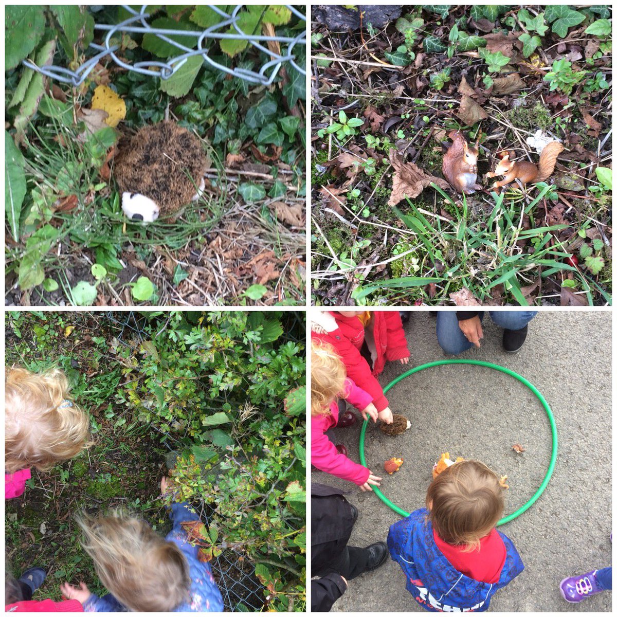 TerrigCylch's tweet photo. Chwilio am โMr Wiwerโ a
โMr Draenogโ @MudiadMeithrin @YsgolTerrig ๐๐๐ฟ https://t.co/LnSNSrhg9l