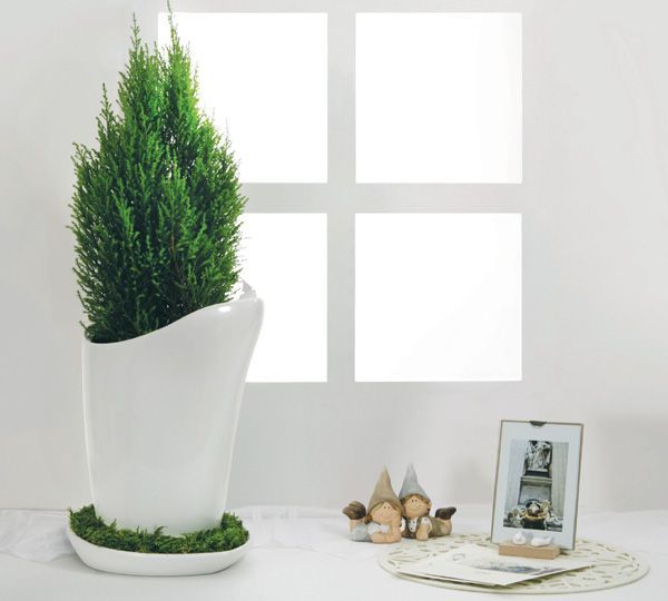 smartdesignlab's tweet photo. The #SweetPot is an innovative plant pot design!
https://t.co/NiNOJSFxAf https://t.co/S6ZvcdVCtj