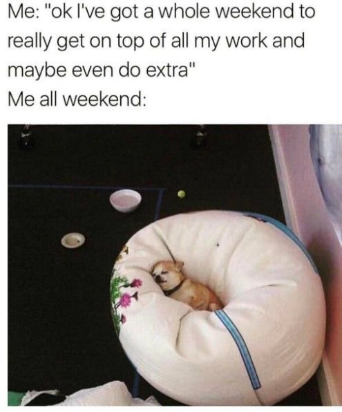 studytact's tweet image. Don't be this person! But if you are then StudyTact has your back! #download #startup #StudyTact #app #tech