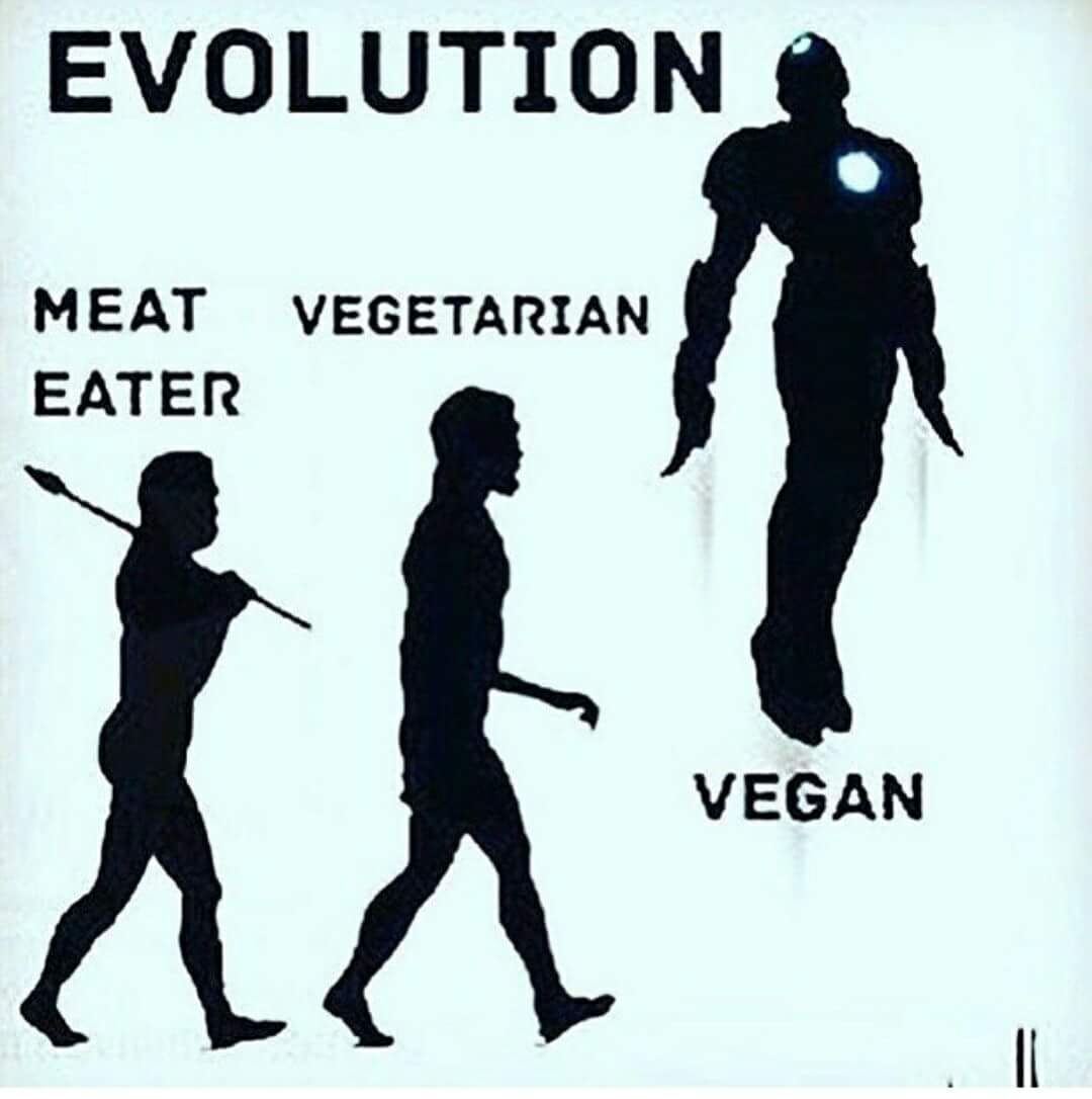 The_GreenBoat's tweet photo. Whatever you are be a good one. 💚
#govegan #animalrights #heroes #veganism https://t.co/BA5tsaZioz