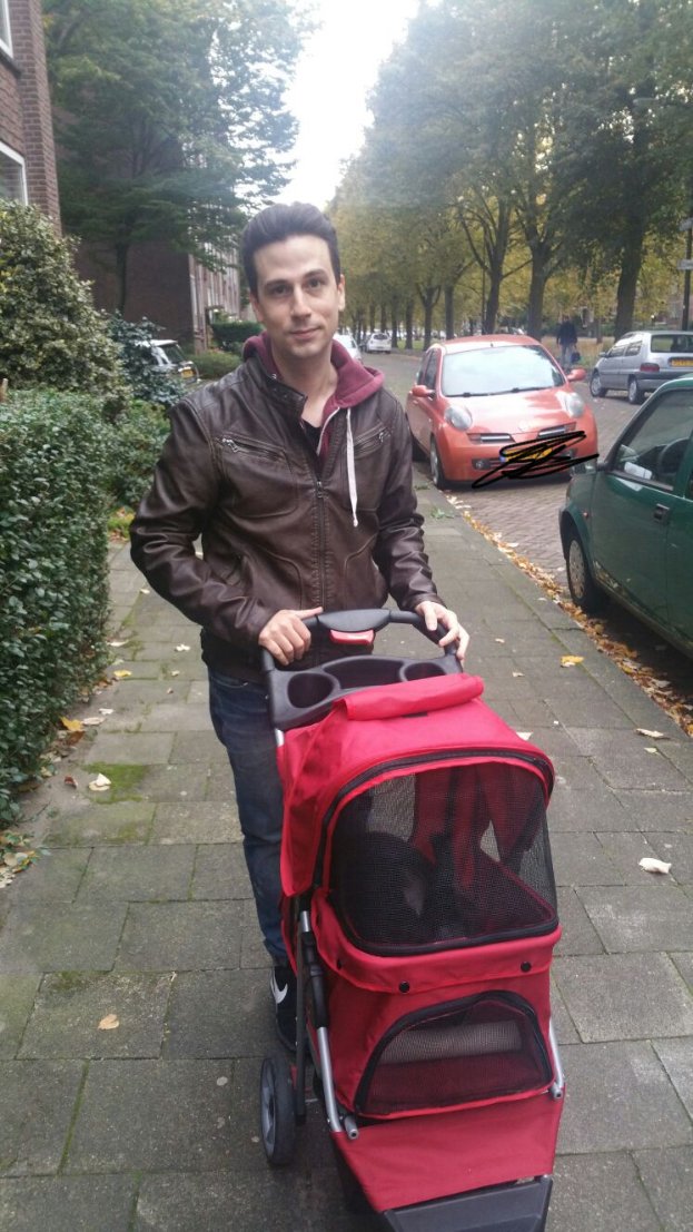 webseth tweet picture