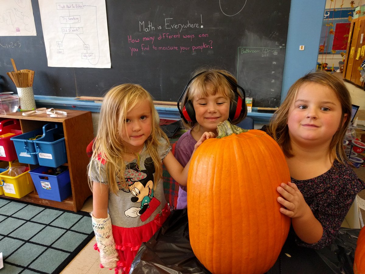 MsCooper_LDSB's tweet photo. Pumpkin week! We measured height, mass and capacity and more. Today we counted our seeds. Next week we'll look for trends in our data. https://t.co/cWYlOQiMAZ