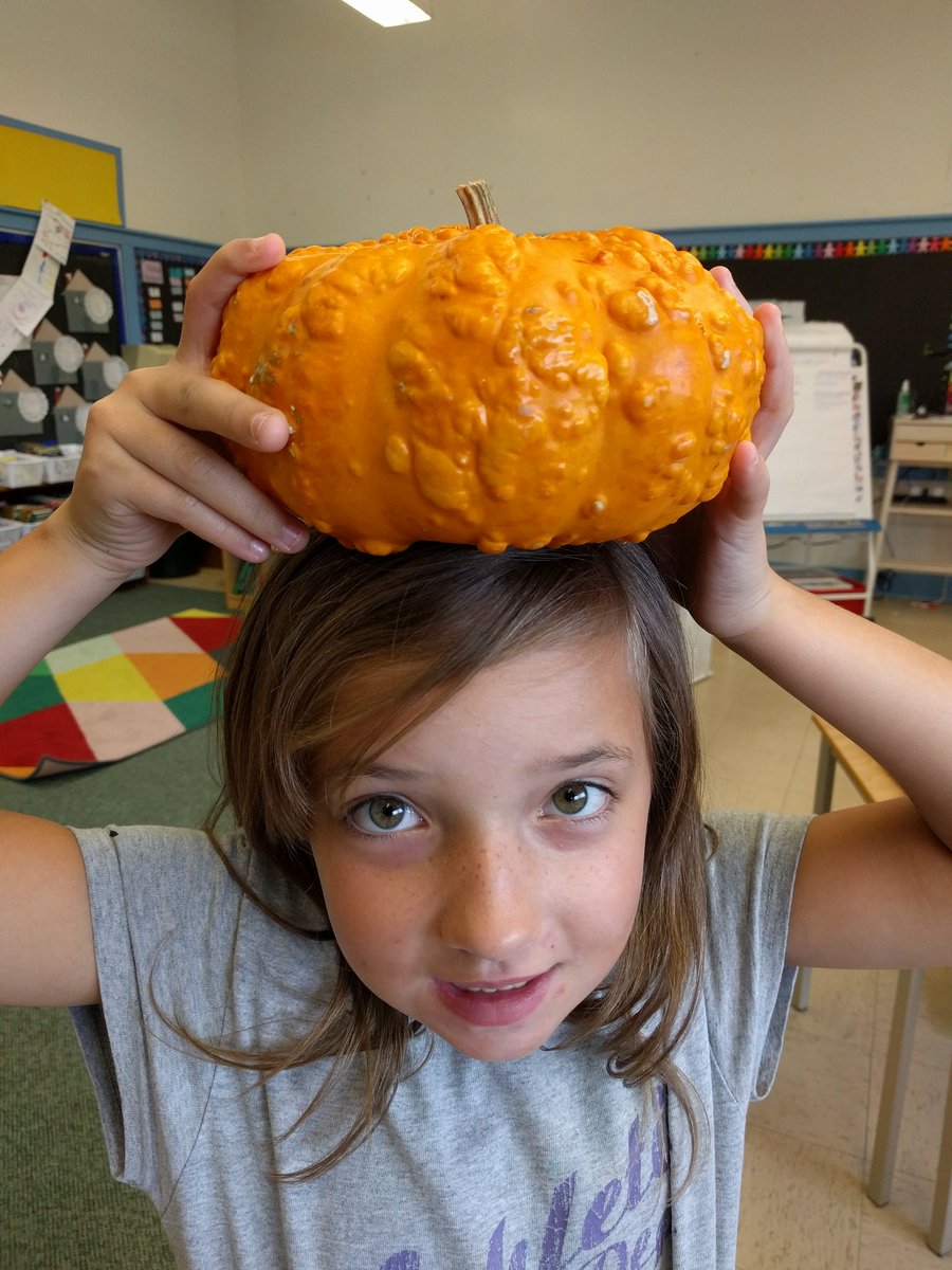MsCooper_LDSB's tweet photo. Pumpkin week! We measured height, mass and capacity and more. Today we counted our seeds. Next week we'll look for trends in our data. https://t.co/cWYlOQiMAZ