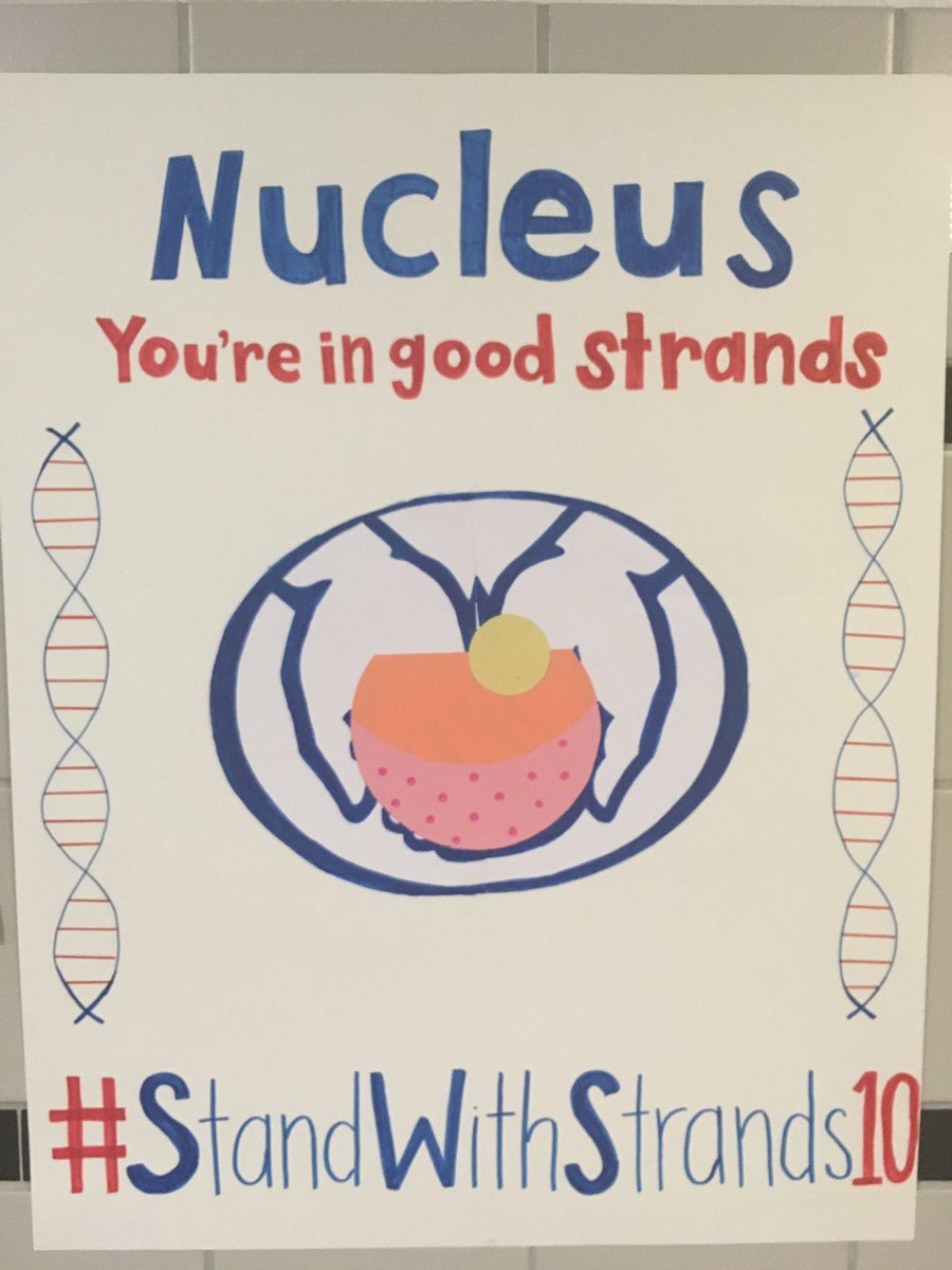 CrawfordMHS's tweet photo. #StandWithStrands10 
#organellecampaign2017 https://t.co/YhaL4Ocdl6