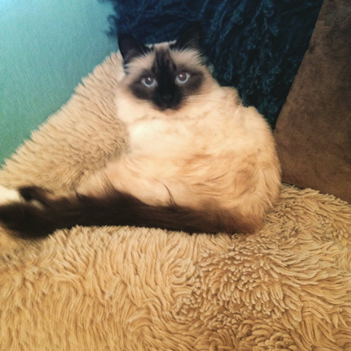 Mum stop taking photos of me !!