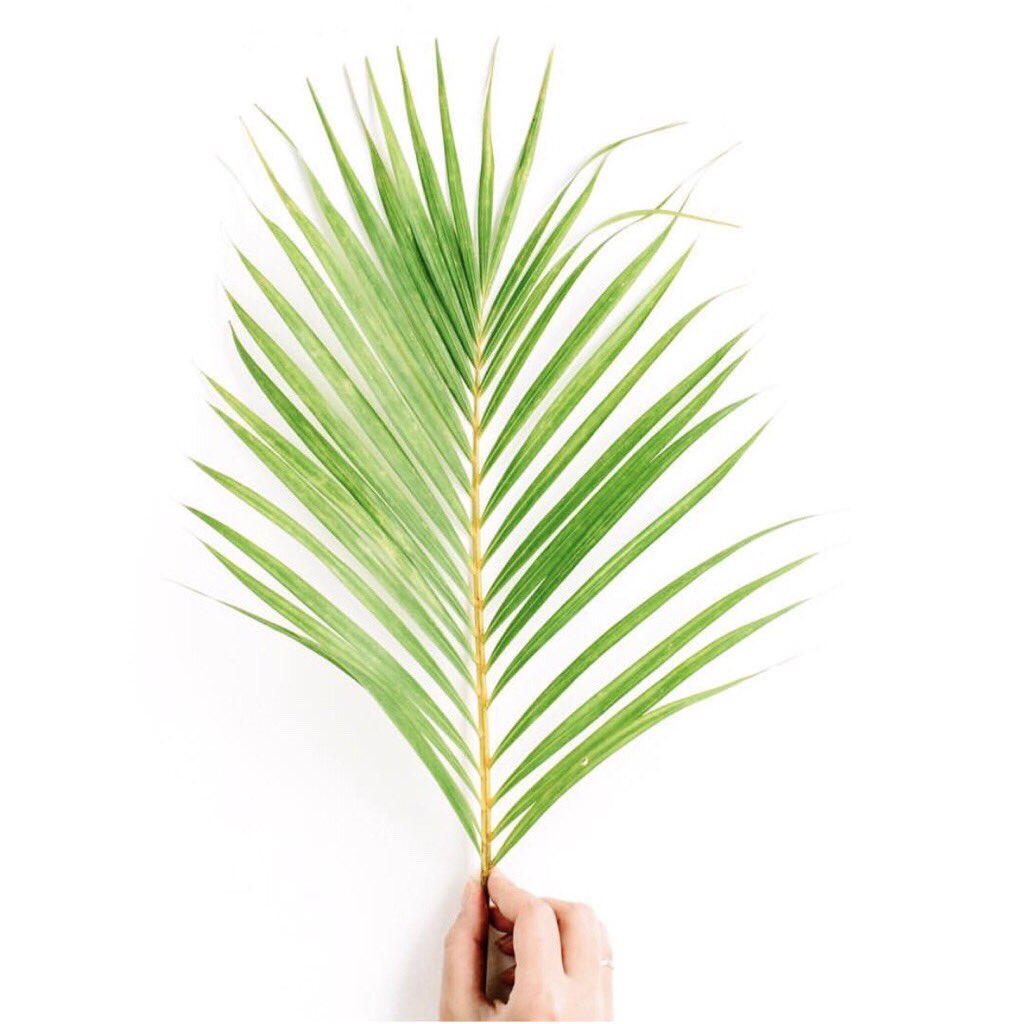 broadliquor's tweet photo. A little green inspiration from @bash_studio 🙌🏼 https://t.co/4Q3179ElPG