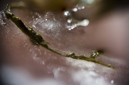 "Hücum ve Ricat", Orhan Cem Çetin, Murat Germen fotoğraf sergisi Evin Sanat Galerisi'nde! goo.gl/yToZnR <a href="/evinart/">Evin</a>