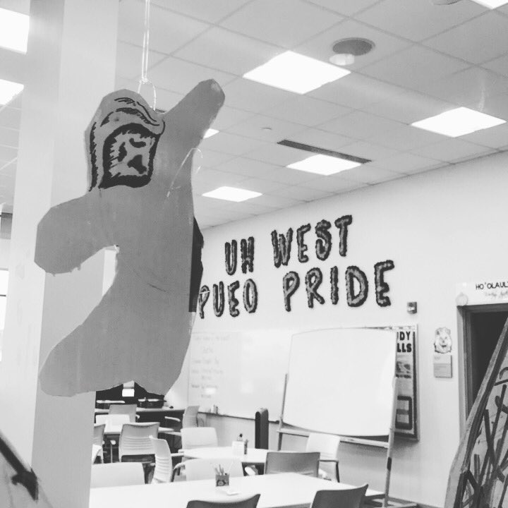 NoeauCenter's tweet photo. It's #fridaythe13th! Have an awesome and safe weekend. #packthesalt #avoidladders #ahhhcat https://t.co/E5CTrpynxq