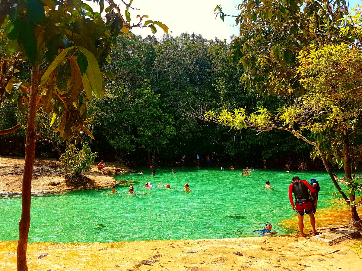 TextbookTourist's tweet photo. 📸🍀🇹🇭 Emerald Pool, Krabi, Thailand
#NaturalPool #EmeraldPool #Thailand https://t.co/4WdfV3rw4x
