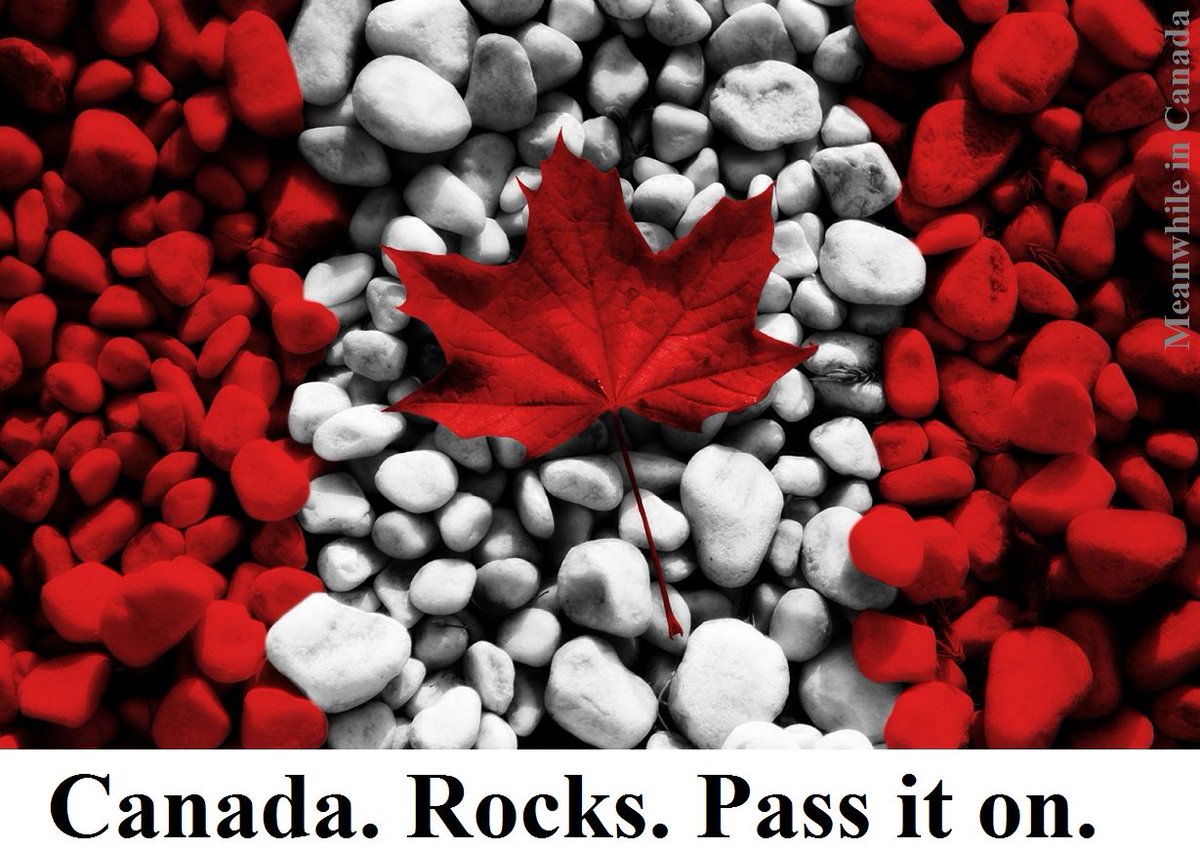 MeanwhileinCana's tweet image. We just hit 1,100,000 followers on Facebook! MiC is done purely out of love  for Canada (no ads or revenue!) to bring a smile onto your face